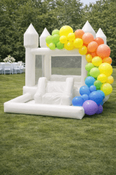 ChatGPT20Image20Jan201920202620at2001 29 5420PM 1768853655 1 VINYL BALLOON ARC